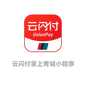 云闪付-掌上青城查车小程序